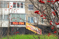 Позитив (Фото от 1 часа)